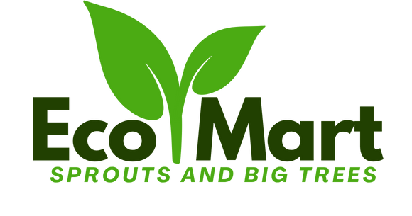 Eco Mart | By Mehedi Hassan